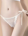 Panty Con Encaje Cintura Regular Seychelles - Kit 3 Piezas Panties